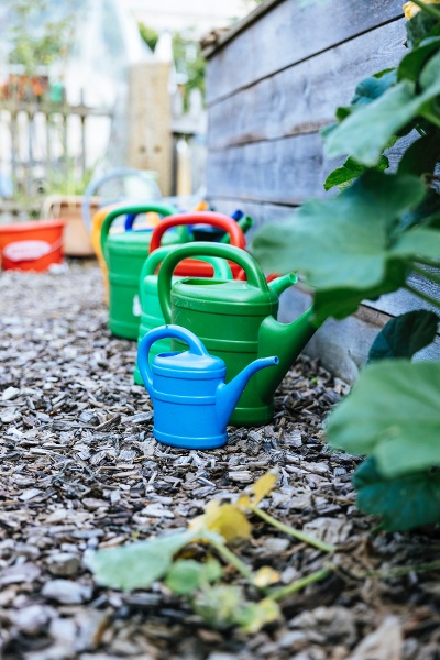 Watering cans in garden